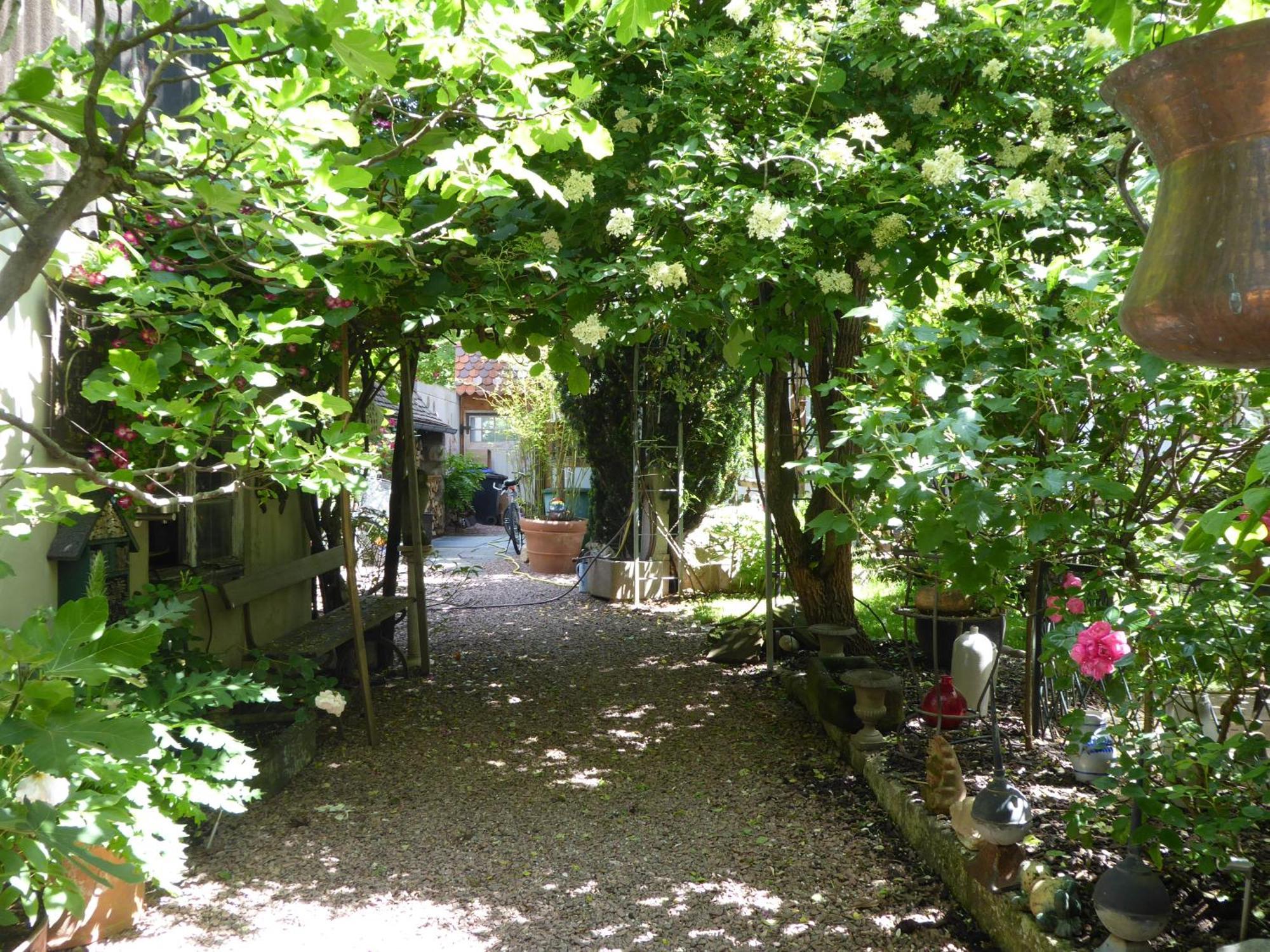 Pension Zur Rose Weil am Rhein Buitenkant foto